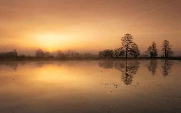 HD PC wallpaper: golden sunrise over a misty Polish river, bare trees silhouetted and mirrored in the calm water — serene nature reflection