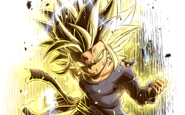 Pan (Dragon Ball) Anime Dragon Ball GT HD Desktop Wallpaper | Background Image