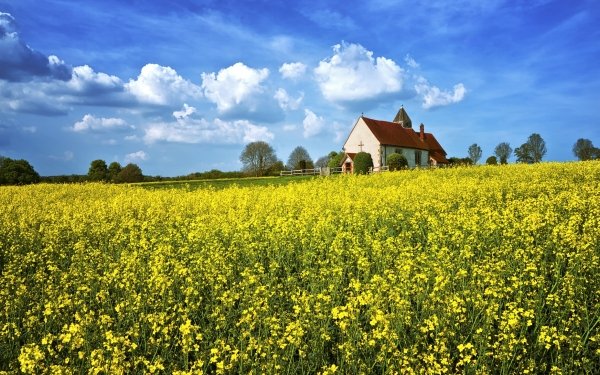 Religious Church Churches Rapeseed HD Wallpaper | Background Image