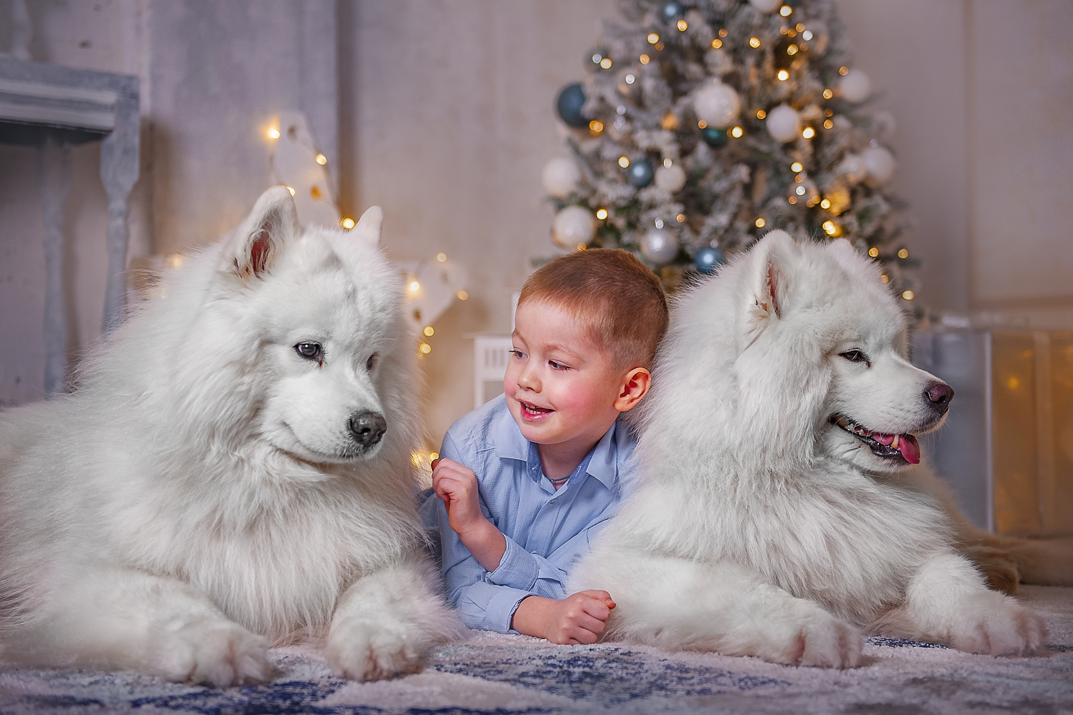 Photography Child HD Wallpaper | Background Image