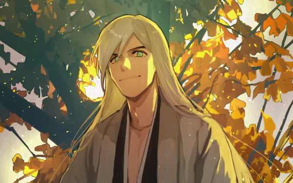 Jūshirō Ukitake Anime Bleach HD Desktop Wallpaper | Background Image