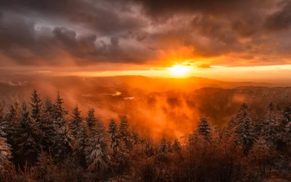 A stunning sunrise over a misty German forest, with dense trees silhouetted against vibrant clouds. This 4K Ultra HD wallpaper beautifully captures nature's tranquility.