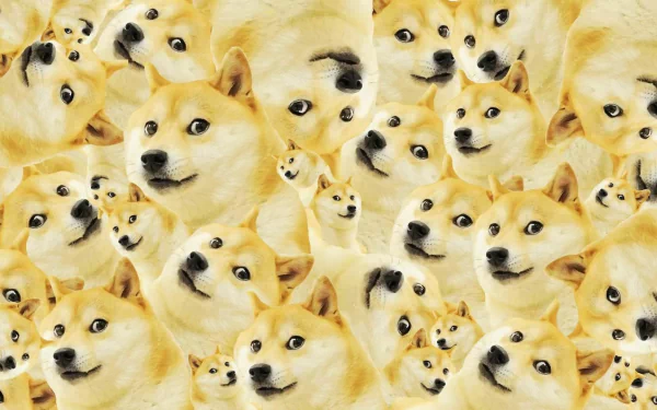 HD wallpaper featuring a collage of Doge, the Shiba Inu meme dog, as a vibrant desktop background.