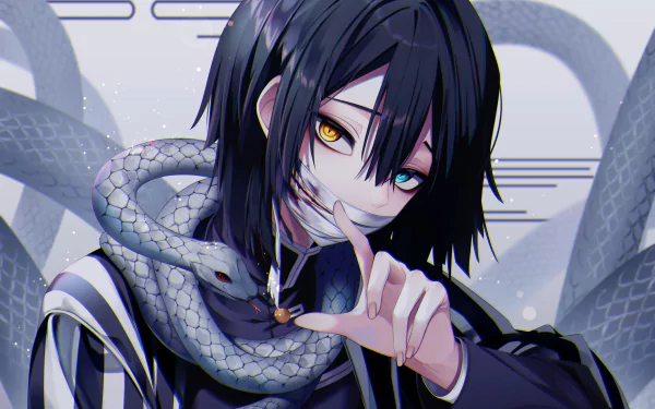 HD anime desktop wallpaper featuring Obanai Iguro from Demon Slayer: Kimetsu no Yaiba with his distinctive heterochromatic eyes and snake companion.