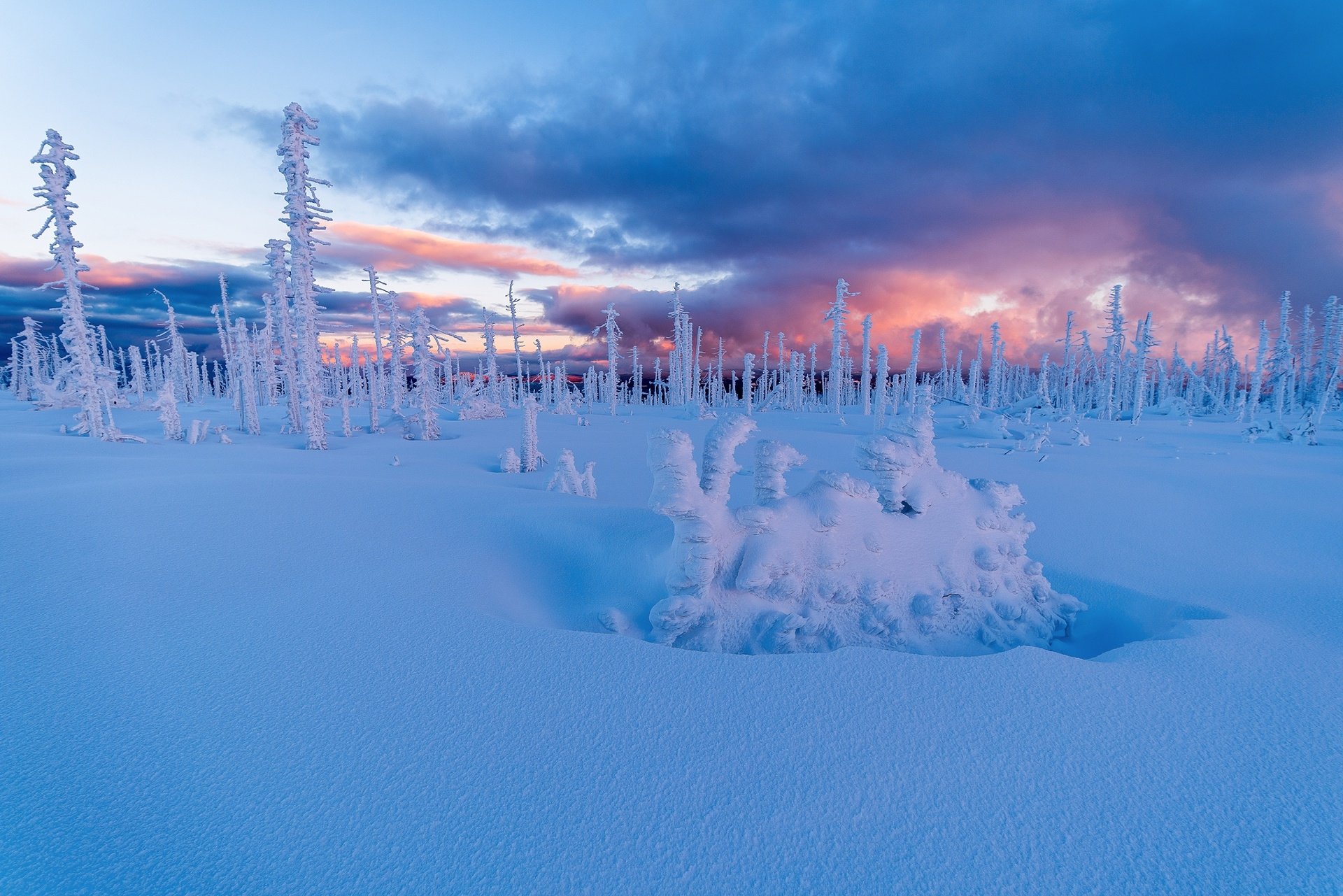 Download Czech Republic Snow Nature Winter HD Wallpaper