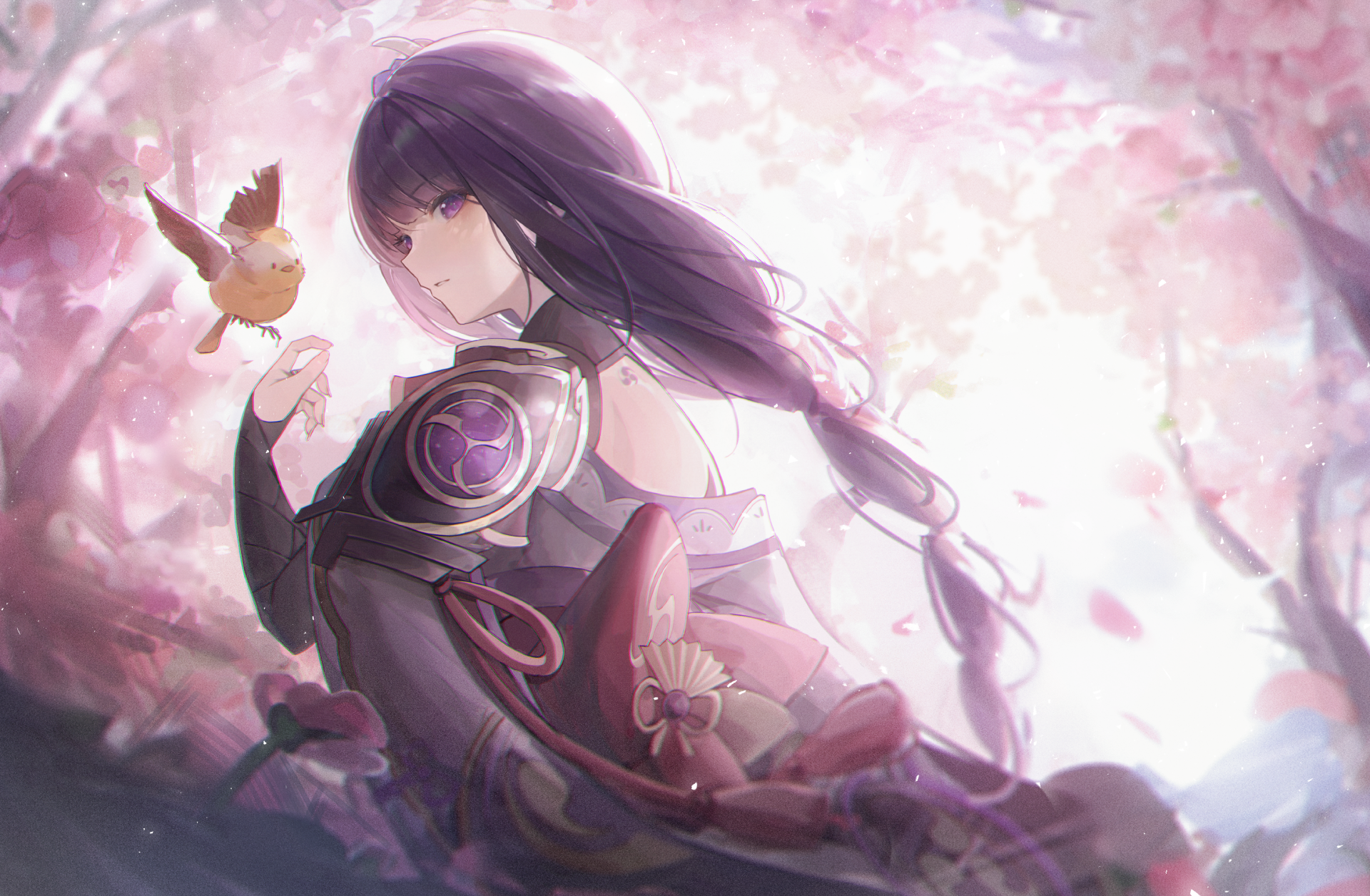 HD PC desktop wallpaper featuring Baal Raiden Shogun from the video game Genshin Impact, surrounded by soft pink cherry blossoms and holding a small bird.