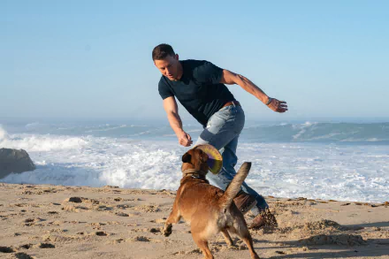 Channing Tatum movie dog HD Desktop Wallpaper | Background Image