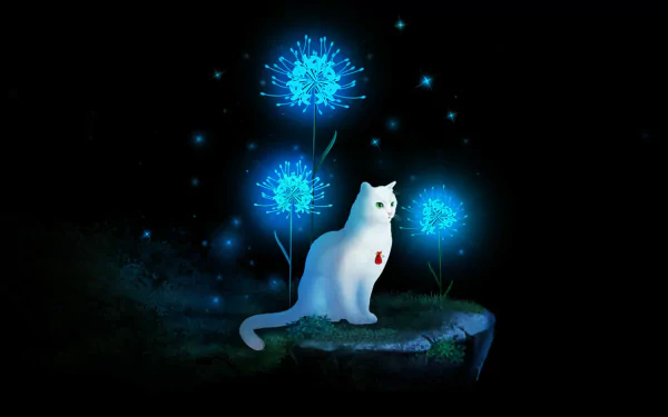 video game Cat and Ghostly Road HD Desktop Wallpaper | Background Image