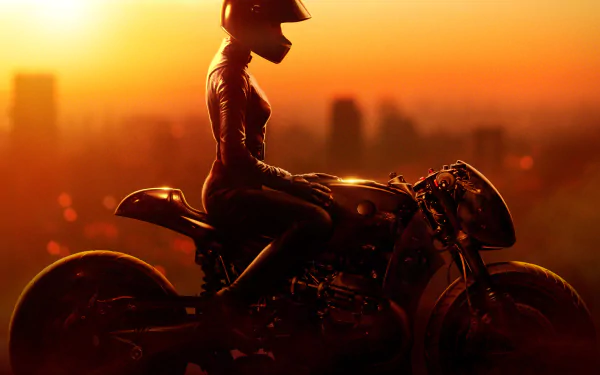 HD desktop wallpaper of Zoë Kravitz as Catwoman from DC Comics’ The Batman, silhouetted on a motorcycle against a vibrant sunset cityscape background.