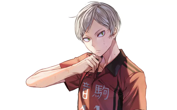 Lev Haiba Anime Haikyū!! HD Desktop Wallpaper | Background Image