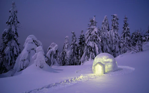 A glowing igloo nestled in deep snow under a twilight sky, surrounded by snow-covered pine trees, captured in stunning 4K Ultra HD winter photography.