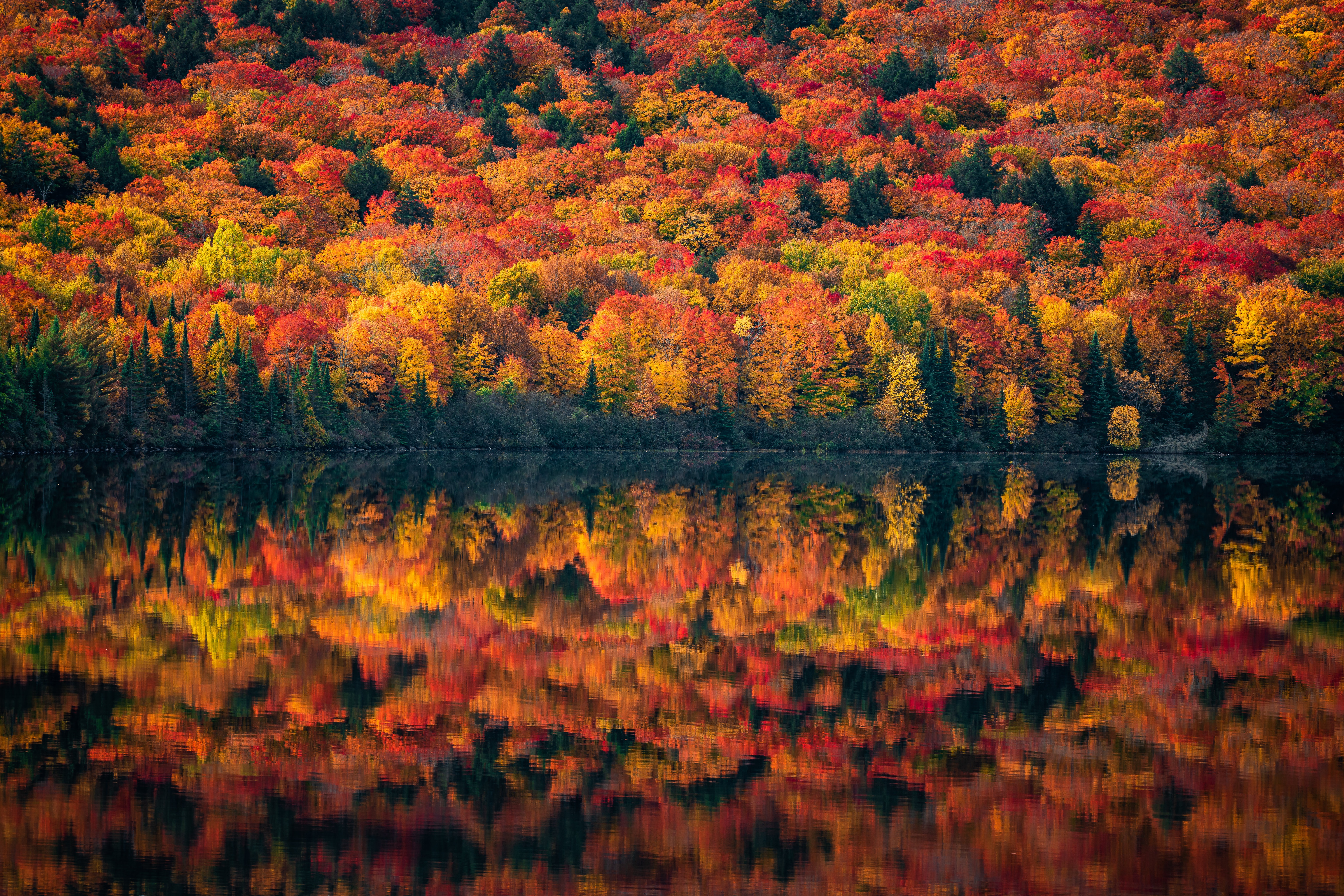 Nature Fall 4k Ultra HD Wallpaper