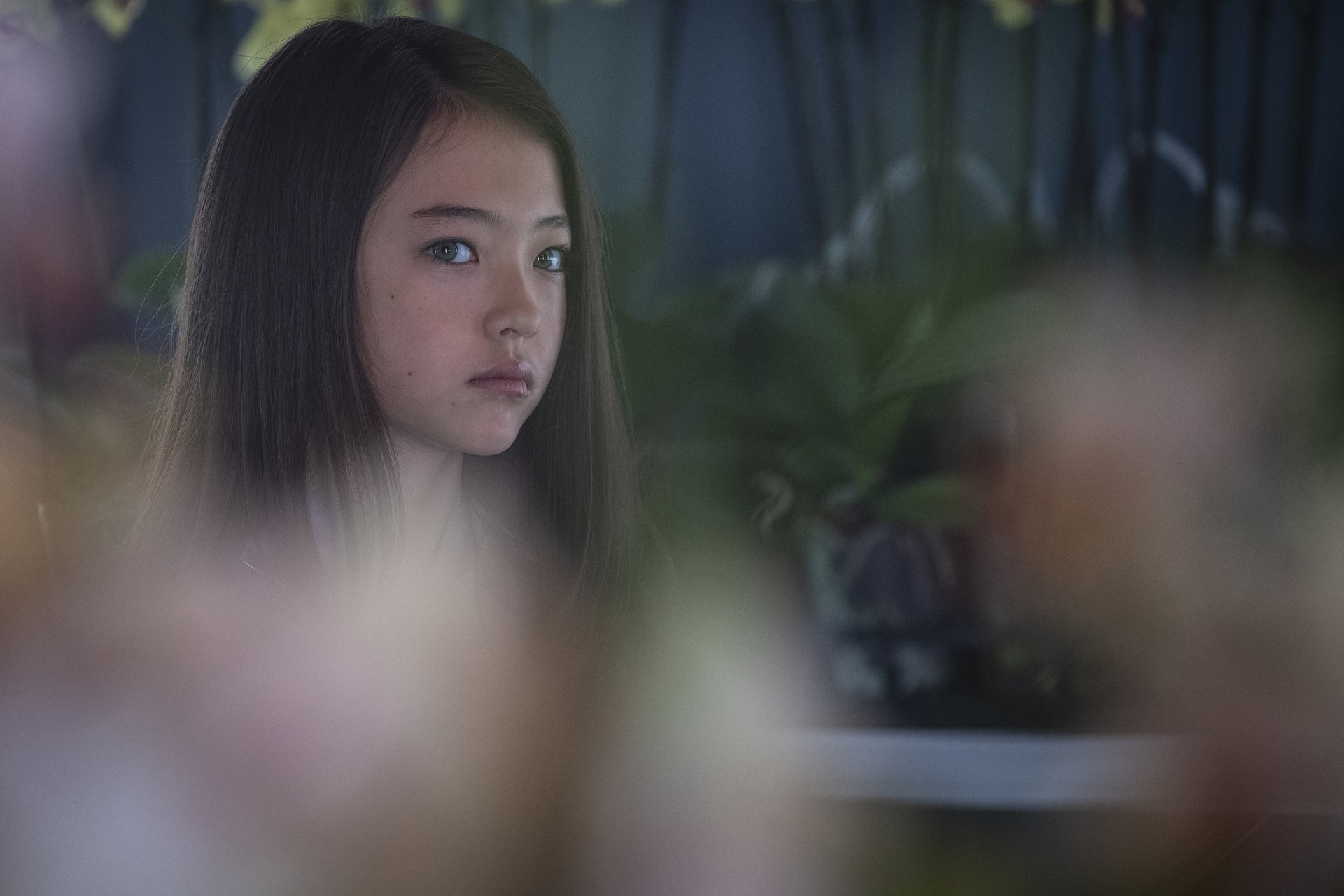 Download TV Show Star Trek: Picard HD Wallpaper