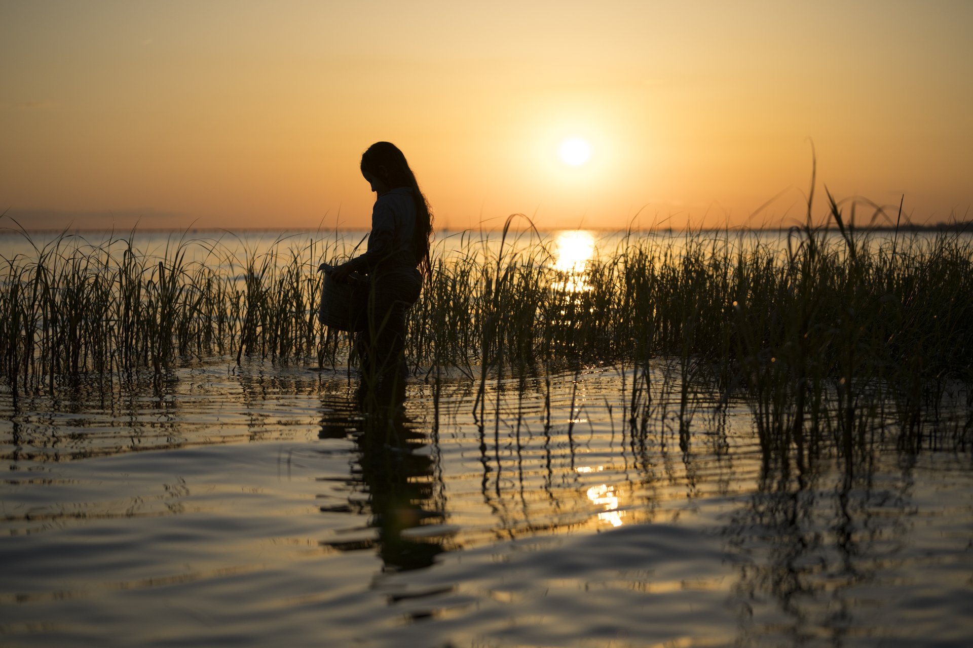 Silhouette of a woman wading through marsh grass at golden sunset, cinematic movie-still mood — 4K Ultra HD PC desktop wallpaper.