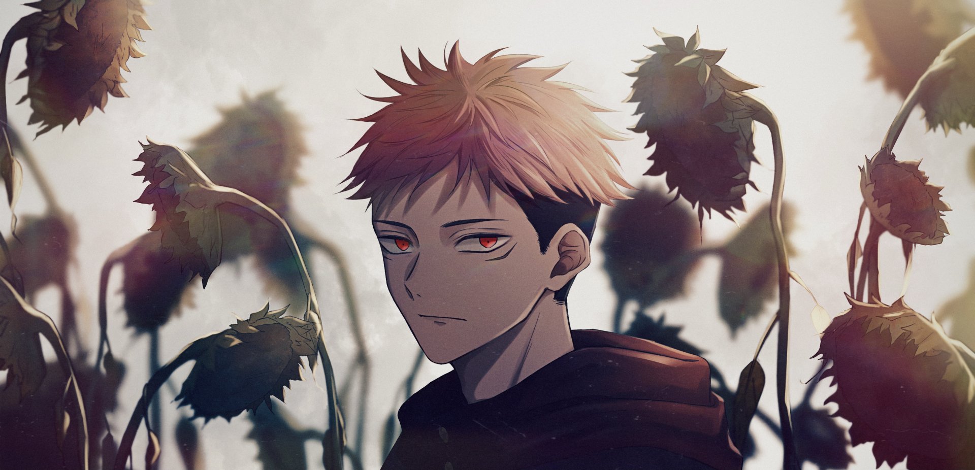 HD anime wallpaper featuring Yuji Itadori from Jujutsu Kaisen with a moody expression, surrounded by dark, wilted flowers in a soft, muted background.