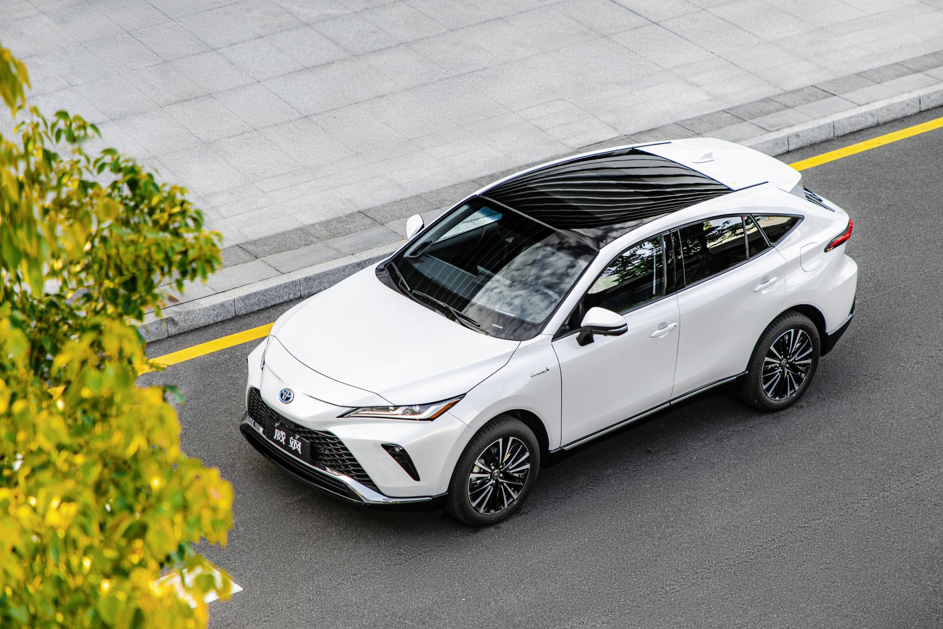 Download Vehicle Toyota Venza Hybrid 4k Ultra HD Wallpaper