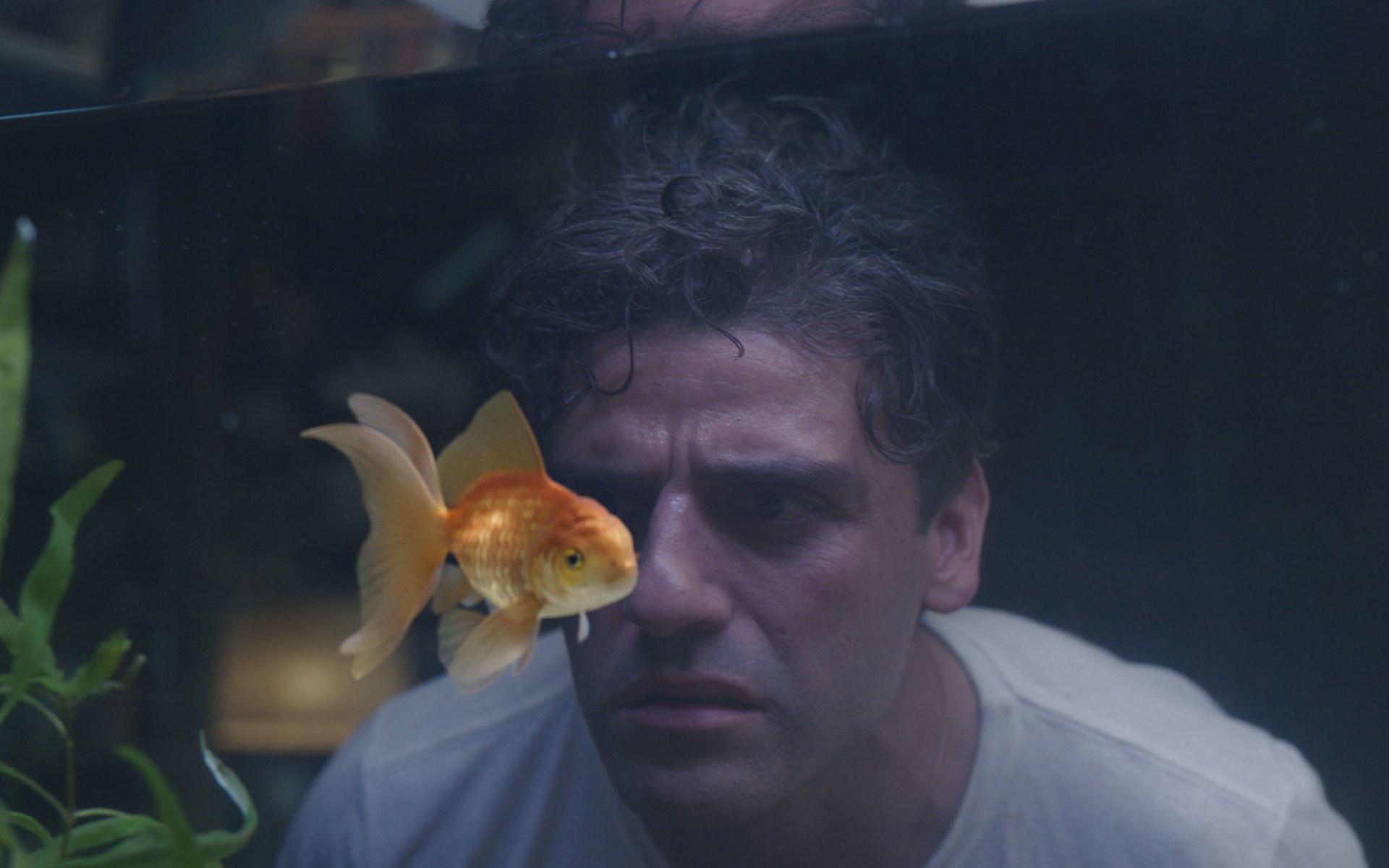 Download Oscar Isaac TV Show Moon Knight HD Wallpaper