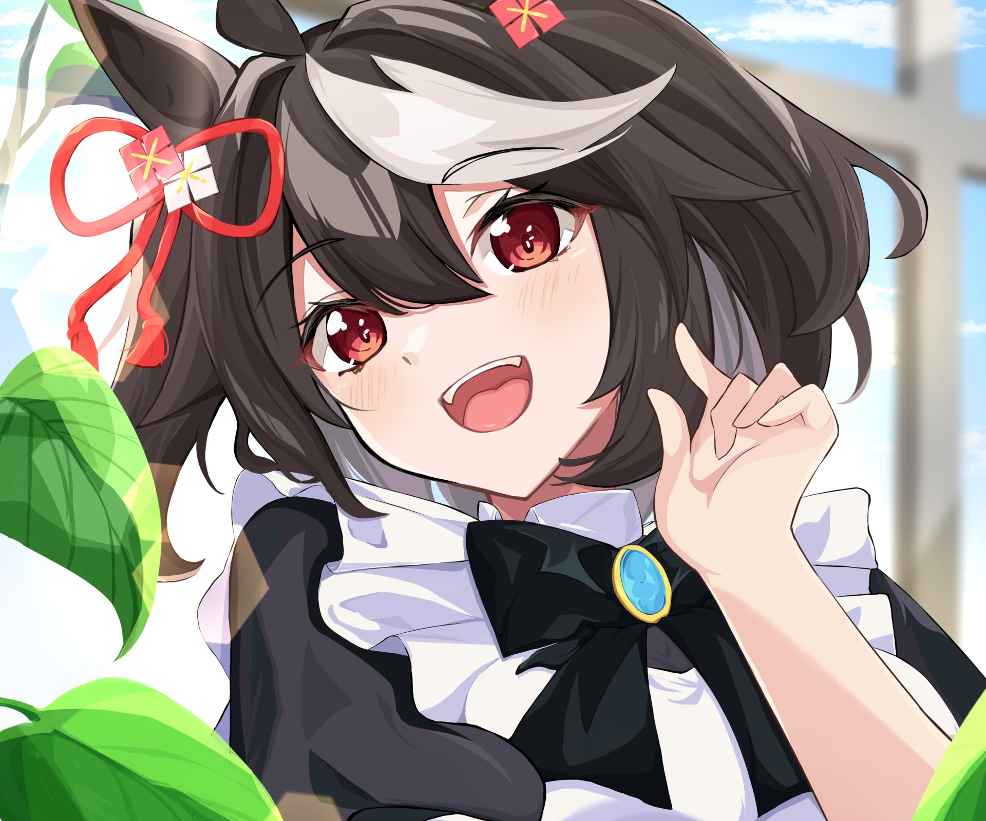 Download Kitasan Black Anime Uma Musume: Pretty Derby HD Wallpaper