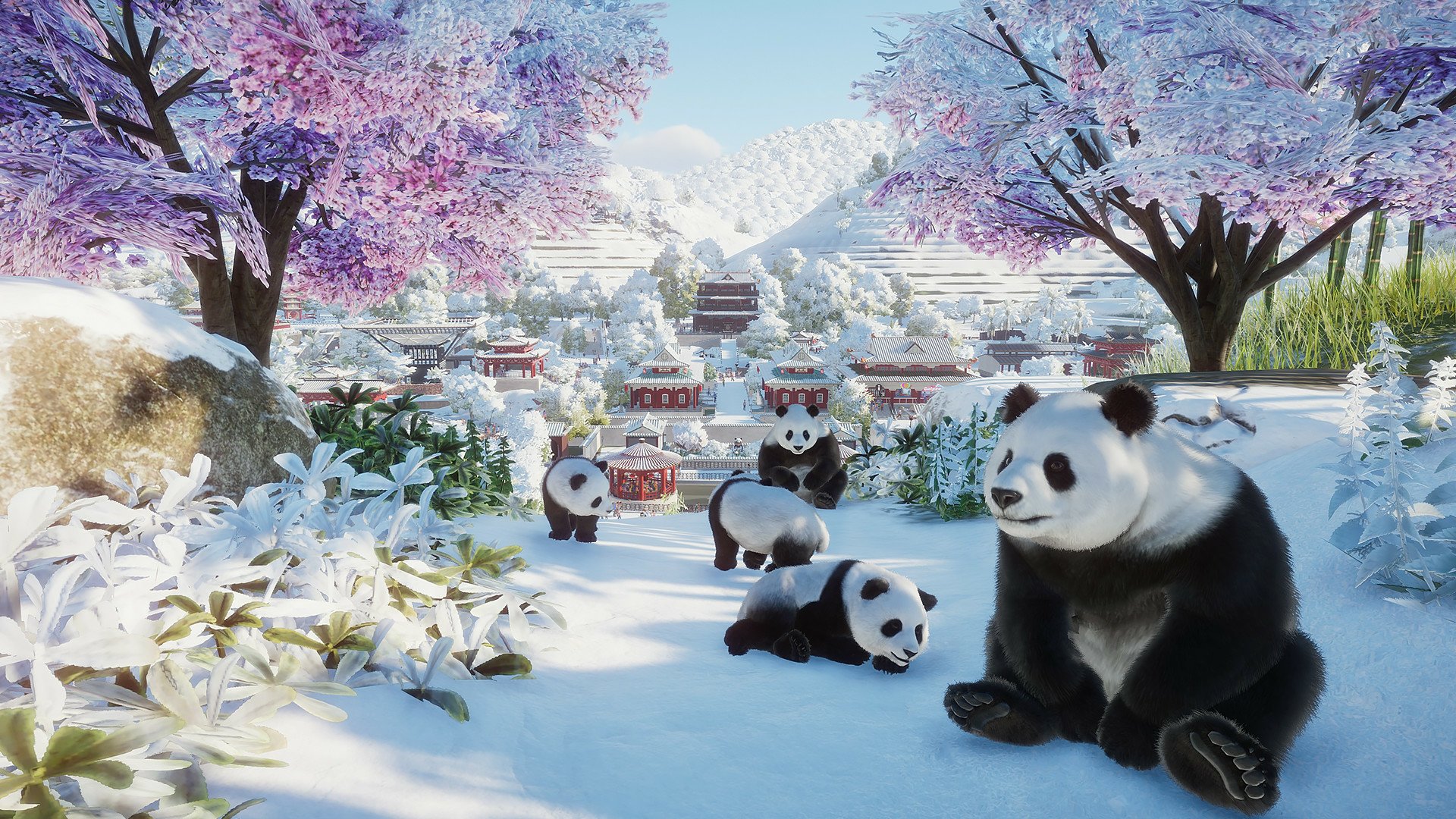 Download Panda Video Game Planet Zoo HD Wallpaper