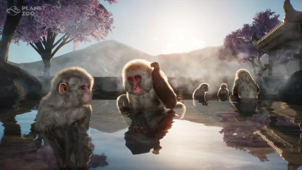 monkey video game Planet Zoo HD Desktop Wallpaper | Background Image