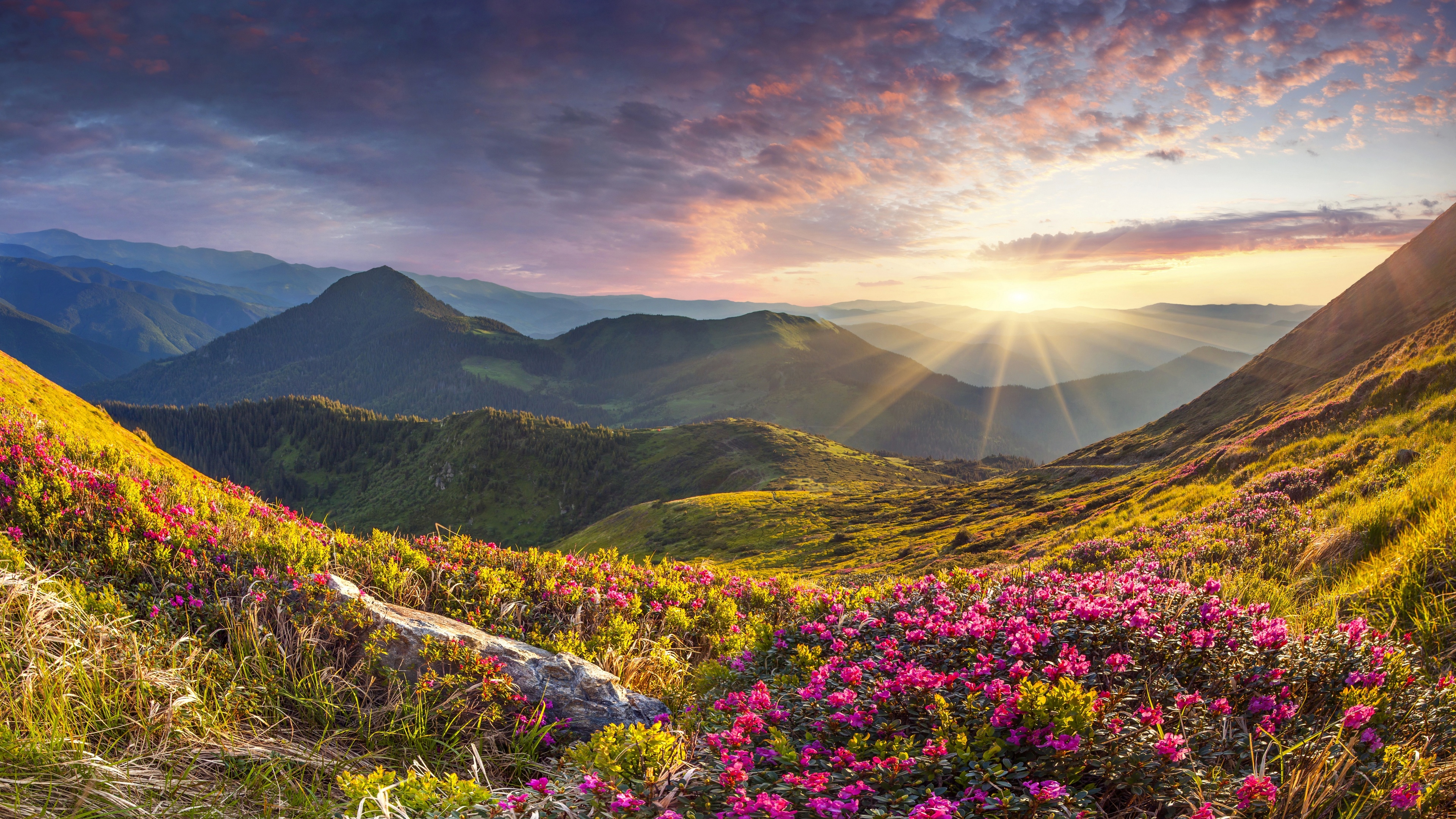 Sunrise Mountains 4k Wallpaper 227,576 Mountain Valley Sunrise Stock