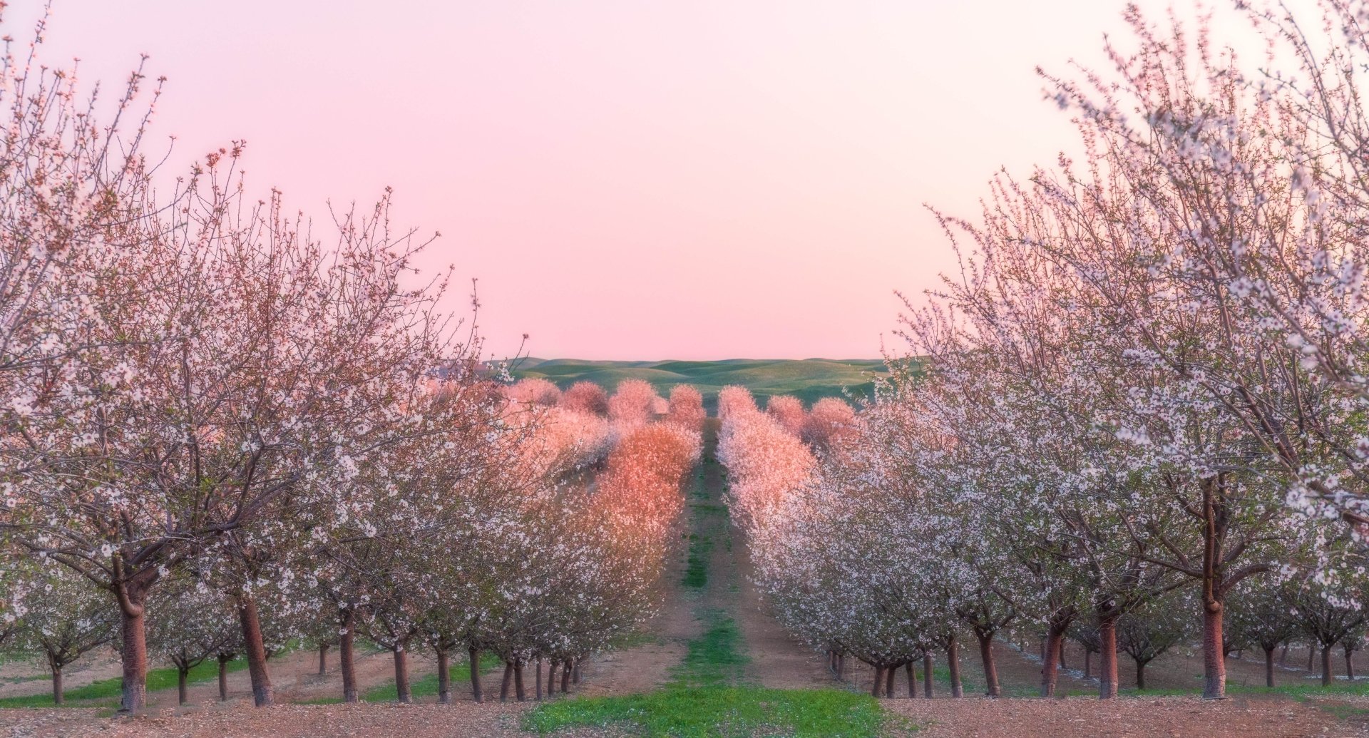 Download Nature Field 4k Ultra HD Wallpaper