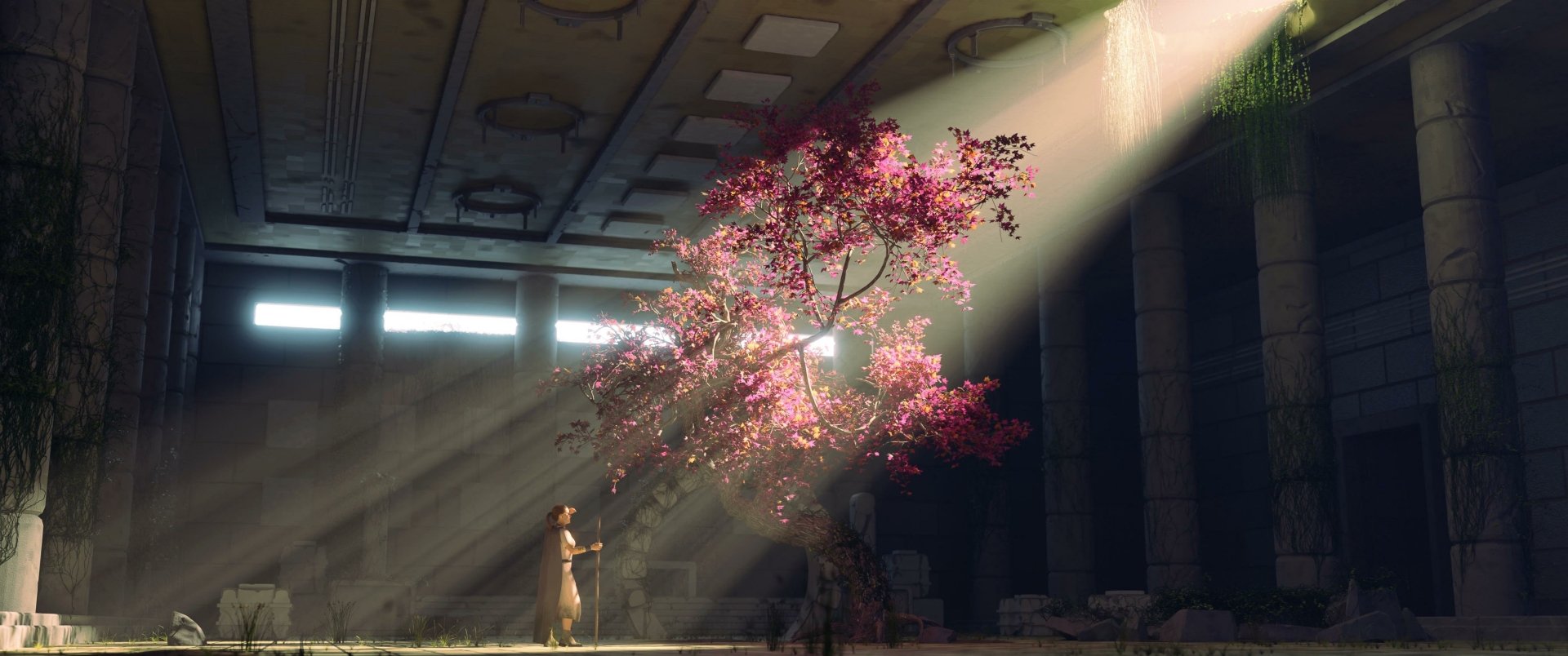 Fantasy forest 2K Quad HD PC Desktop Wallpaper and Background: a glowing pink tree bathed in sunbeams inside a ruined hall, a lone figure gazes beneath shafts of light.