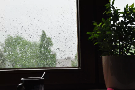  Rain