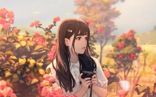 black eyes sunlight flower illustration Anime girl anime girl HD Desktop Wallpaper | Background Image