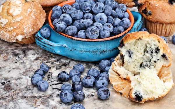 food blueberry HD Desktop Wallpaper | Background Image