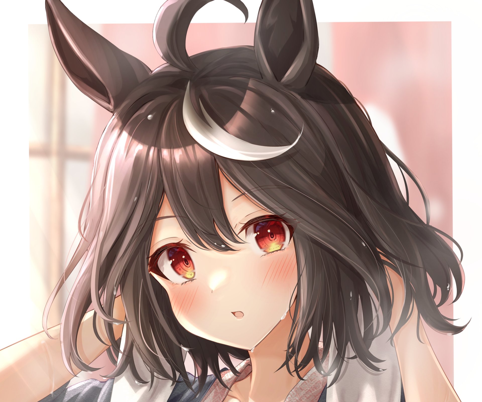 Download Kitasan Black Anime Uma Musume: Pretty Derby HD Wallpaper