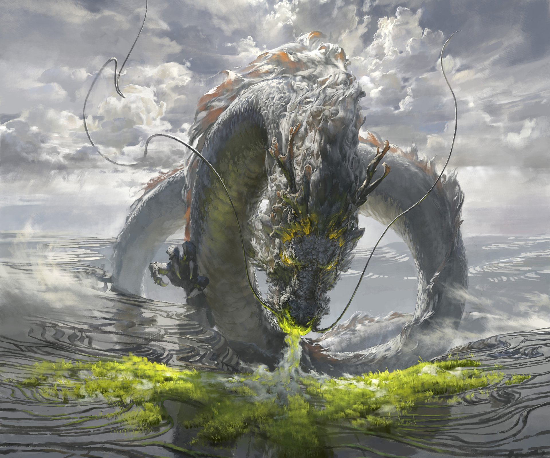 Download Chinese Dragon Fantasy Dragon HD Wallpaper