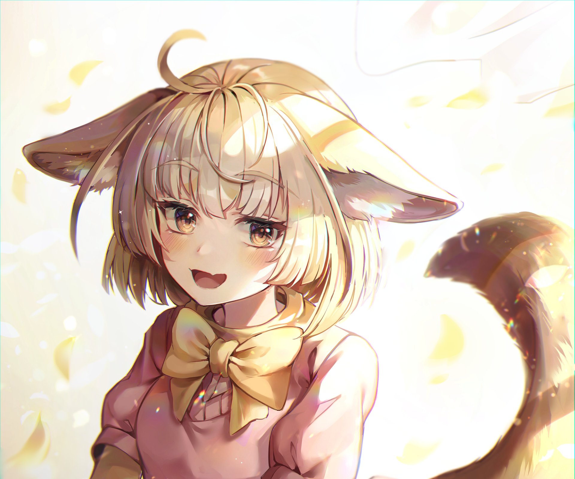 Download Fennec (Kemono Friends) Anime Kemono Friends HD Wallpaper