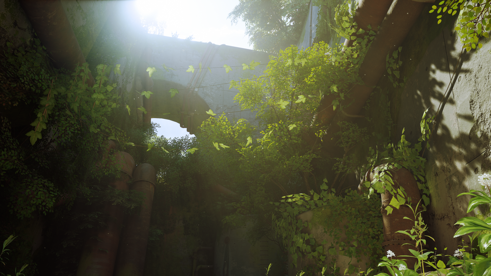 HD PC desktop wallpaper from the video game Stray, featuring sunlight streaming through overgrown ruins covered in lush green foliage.