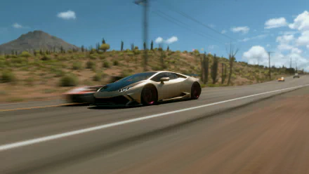  Forza Horizon race