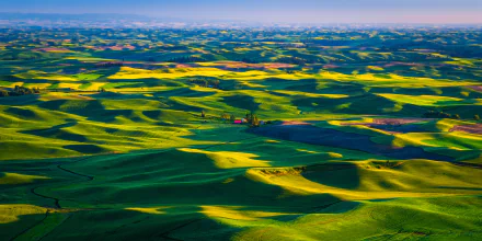 grassland photography landscape HD Desktop Wallpaper | Background Image