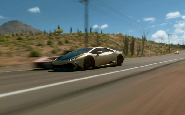  Forza Horizon race