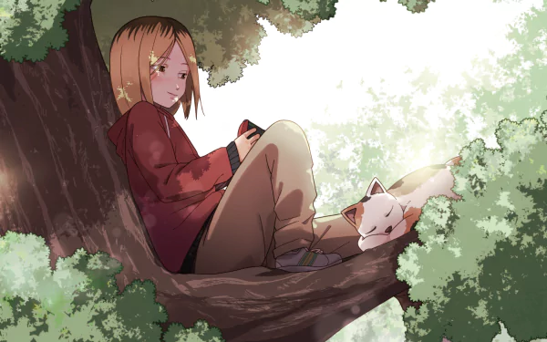 Kenma Kozume Anime Haikyū!! HD Desktop Wallpaper | Background Image