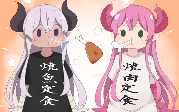 Rim (Meikyuu Black Company) Anime The Dungeon of Black Company HD Desktop Wallpaper | Background Image