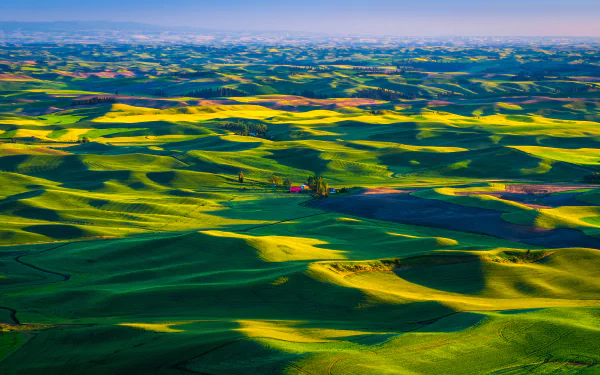 grassland photography landscape HD Desktop Wallpaper | Background Image