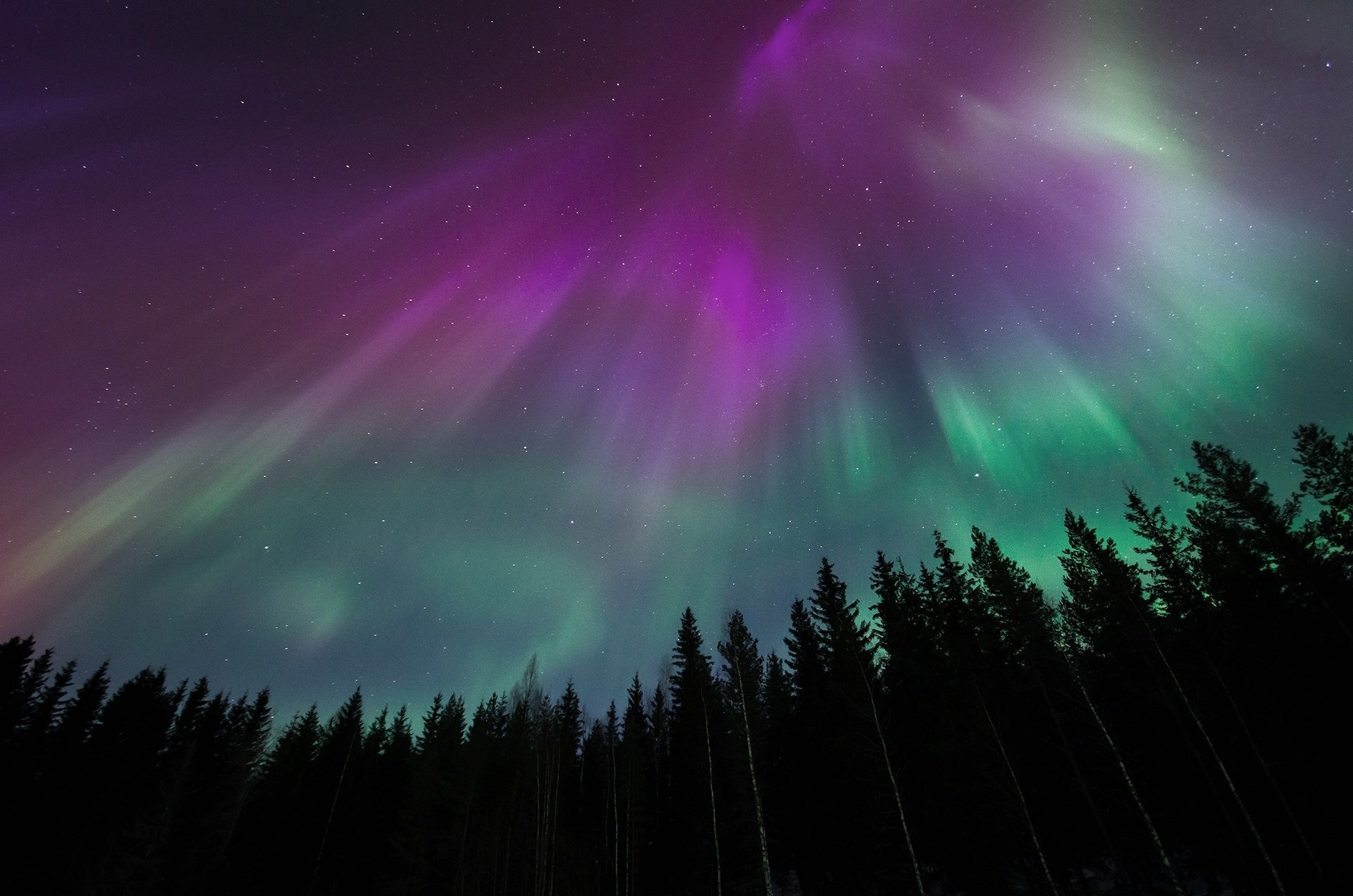 Полярное сияние видео. Лучистое полярное сияние. Северное сияние Northern Lights. Северное сияние Йокюльсаурлон. Северное сияние в Мурманске.