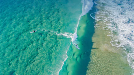 Aerial view of surfers riding clear turquoise waves near the sandy shore, captured in vibrant detail as a 4K Ultra HD desktop wallpaper showcasing dynamic sports action.