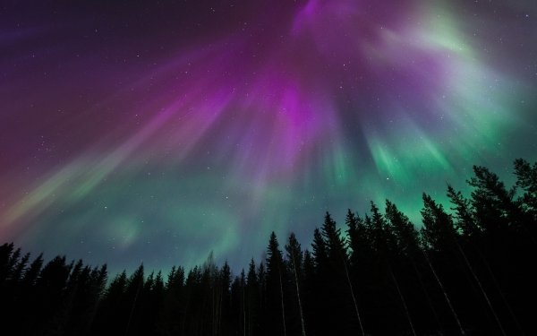 Nature Aurora Borealis Night HD Wallpaper | Background Image