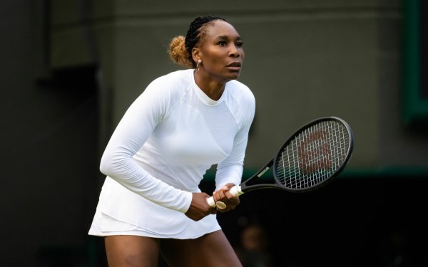 Sports Venus Williams Tennis American HD Wallpaper | Background Image