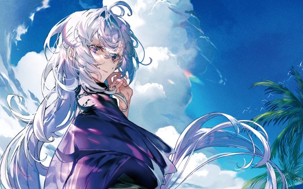 Anime Fate/Grand Order Fate Series HD Wallpaper | Background Image
