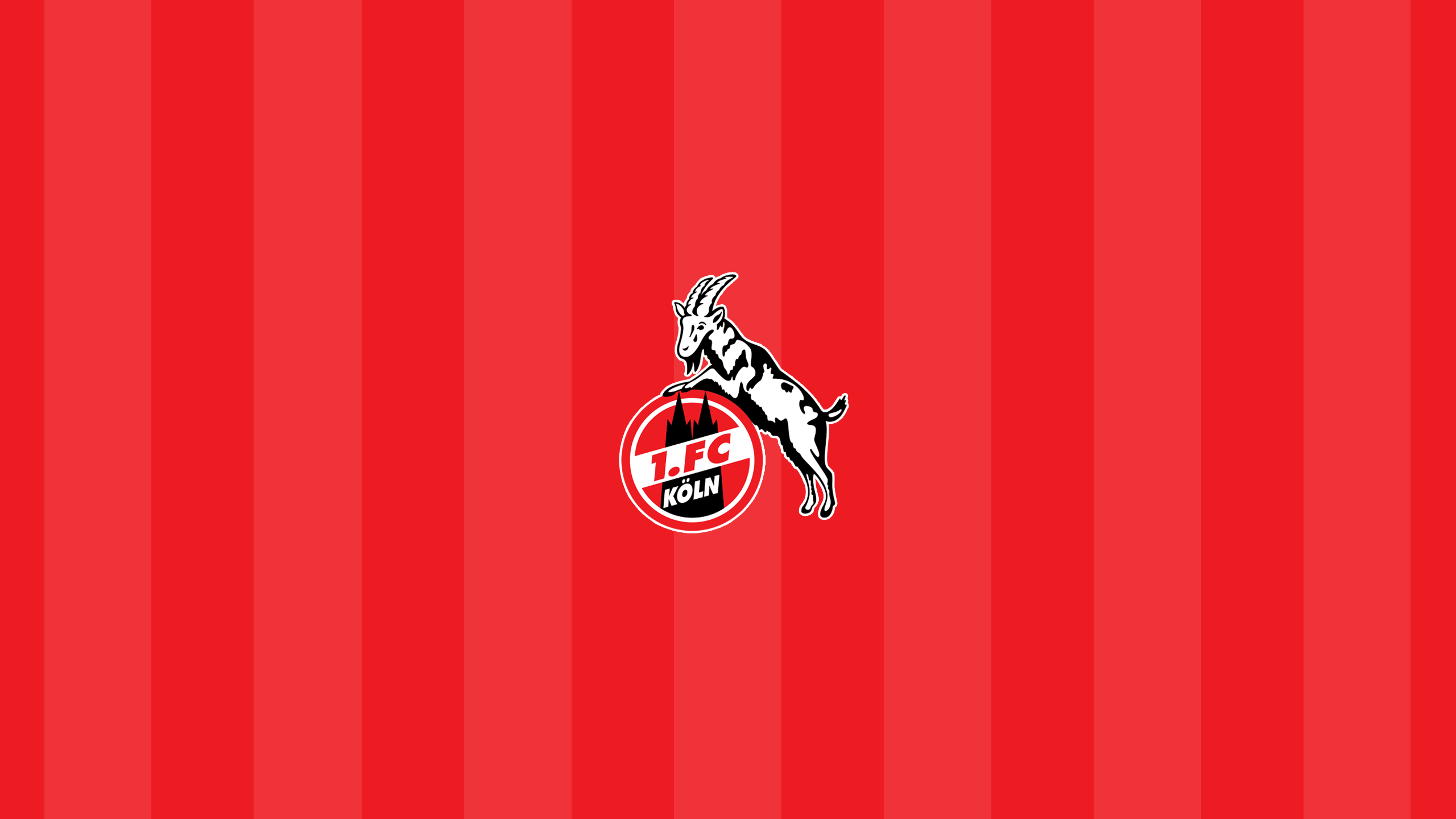 FC Köln HD Wallpapers And Backgrounds, 42% OFF