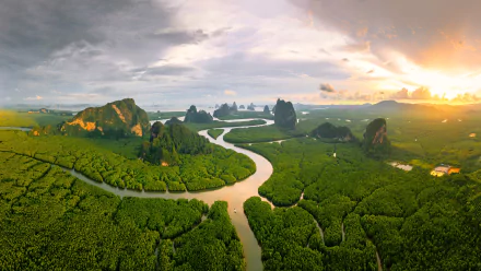  Mangrove forest in Phang Nga Bay, Andaman Sea, Thailand by Ratnakorn Piyasirisorost
