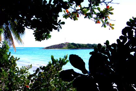 photography nature HD Desktop Wallpaper | Background Image