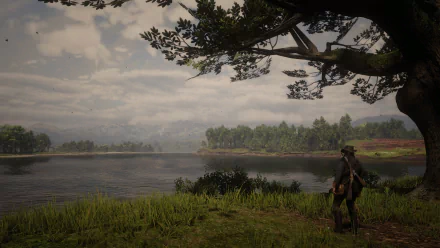  Red dead redemption 2