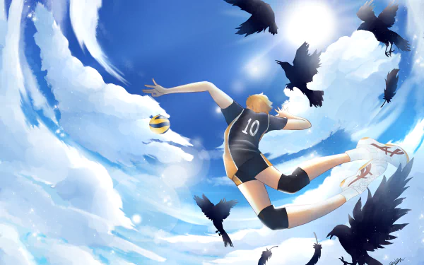 Shōyō Hinata Anime Haikyū!! HD Desktop Wallpaper | Background Image